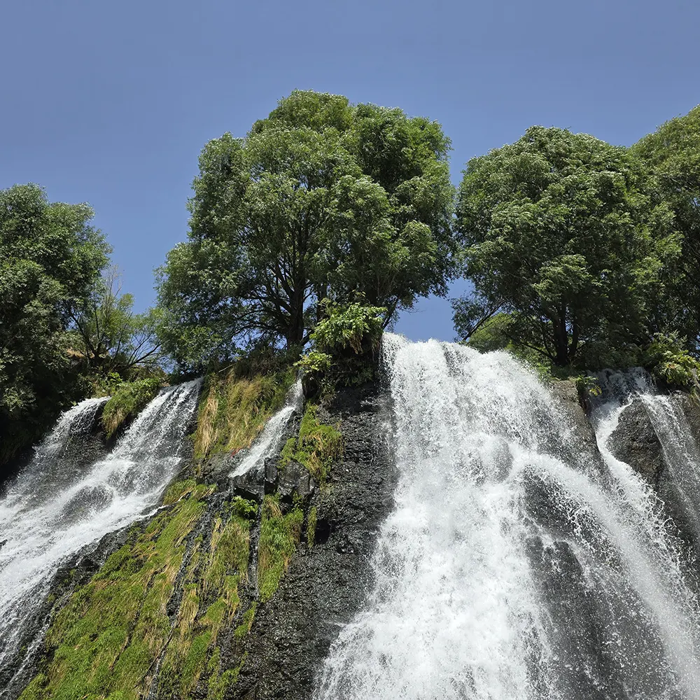 Алтай — фото 1