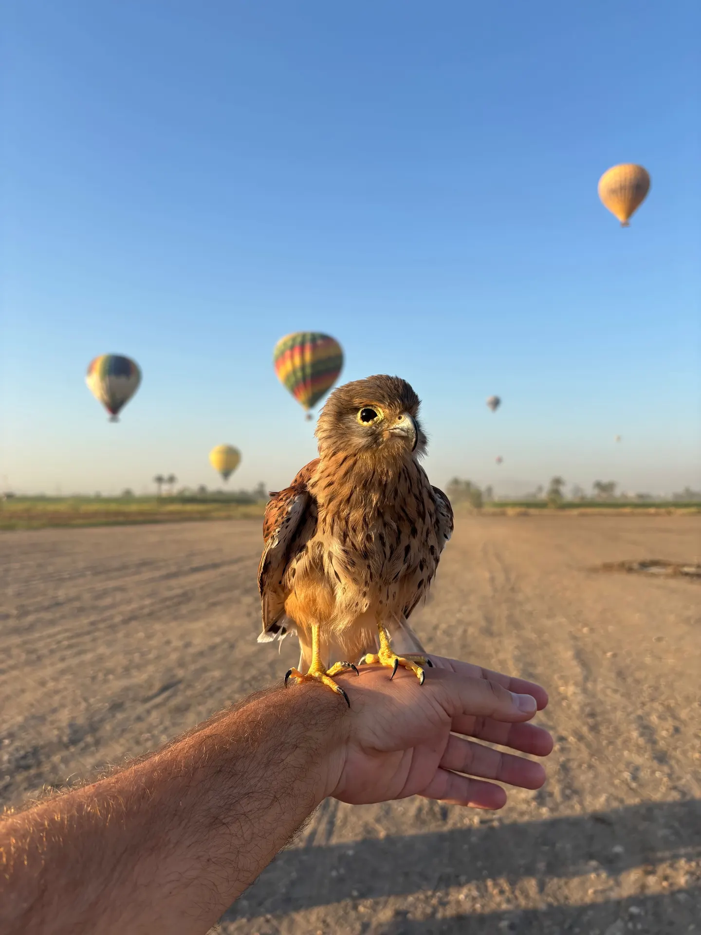 Фото путешествий 4