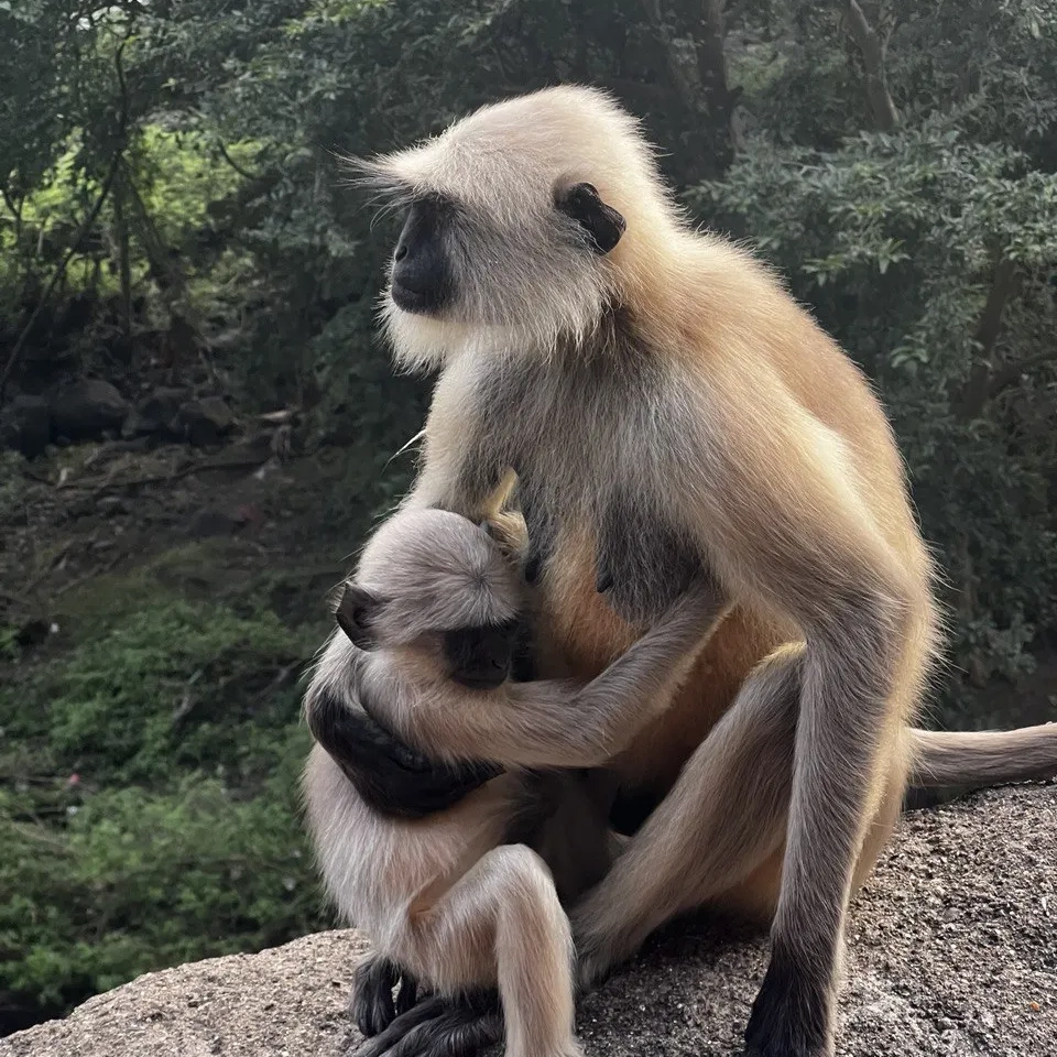 Индия — Варанаси и река Ганг